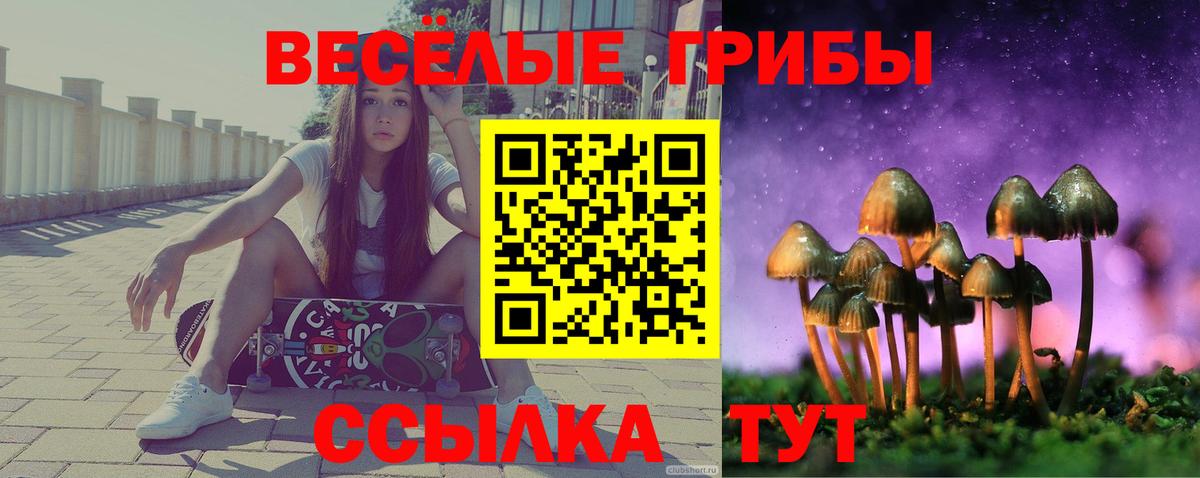 Удомля  наркотики  Вход с VPN  Галлюциногенные грибы Psilocybine cubensis 